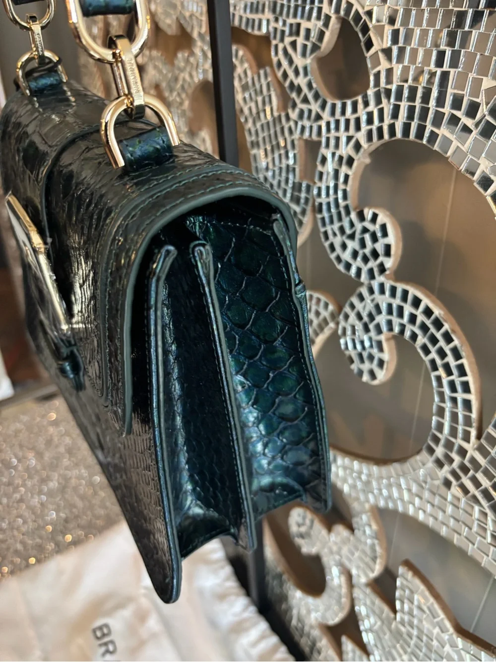 ⭐️Brahmin Evergreen Top Handle Leather Satchel